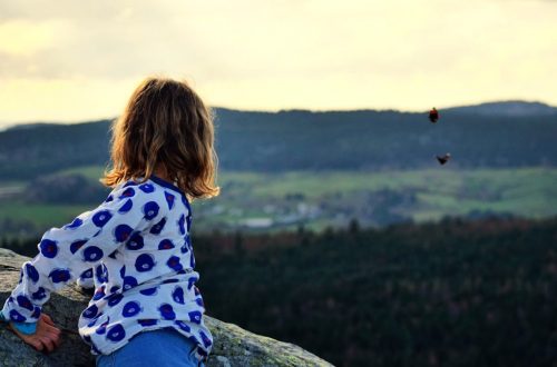 A little girl that is standing on a rock